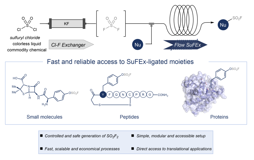 NoelGroupUvA's tweet photo. Fast generation of SO2F2 gas on demand from commodity chemicals in flow. Subsequent gas consumption enables the ligation of small molecules, peptides, and even proteins in under 2 min.

Out now in @NatureSynthesis: https://t.co/wsF3MG430d

#FlowChemistry #SUFEX #ClickChemistry https://t.co/Nzt45yjlK8