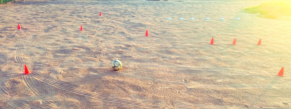 Tea_Bee15's tweet image. The calm before the storm 🔥

#FootyTwitterGames
#HooligansFC