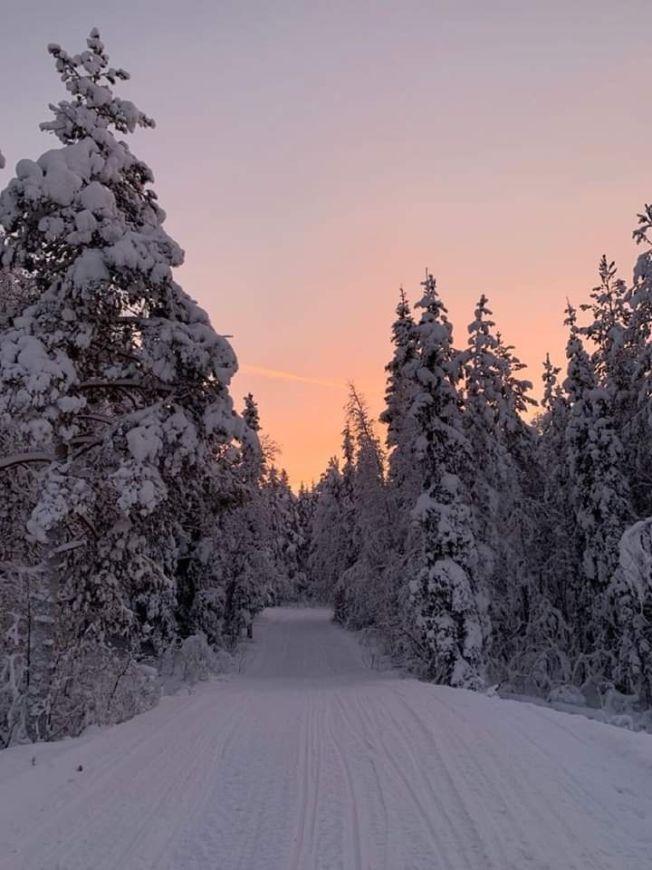 Good evening 💫 ❄️