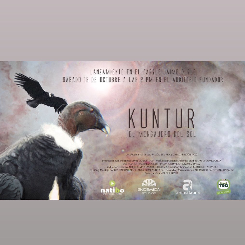 Hoy estaremos pendientes que estamos con dos nominaciones en los Premio TAL @RedTV_TAL en la categoría de mejor documental ambiental con Páramos el país de las nieblas y con mejor documental regional con Kuntur, mensajero del sol!!!