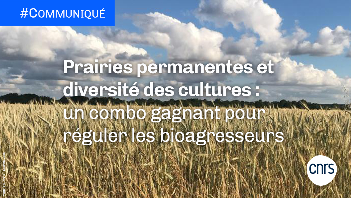 CNRS 🌍 tweet media