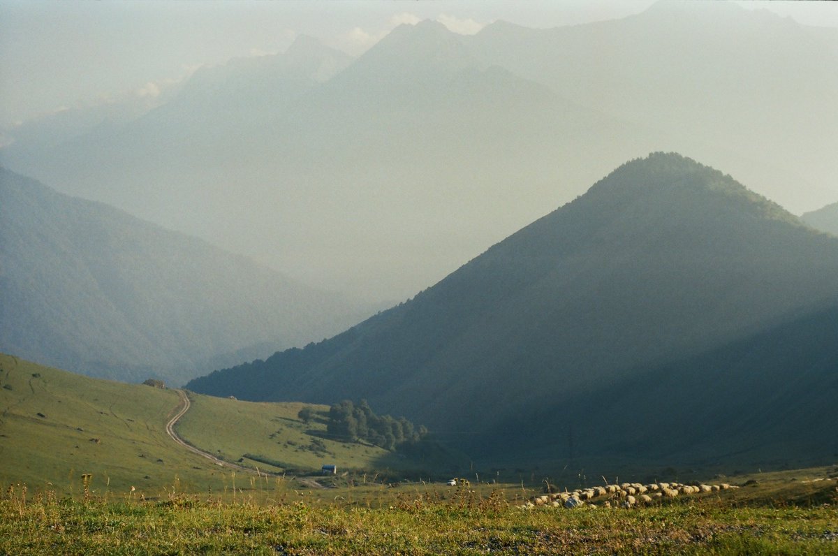 murchelfotodump's tweet photo. horizon | kodak 250D

#film #filmphotography #photo #photography
#35mm #kodak #kodakfilm #250d #zenitcamera #filmcamera #photocinematic
#mountains https://t.co/fnA7QMm4J5