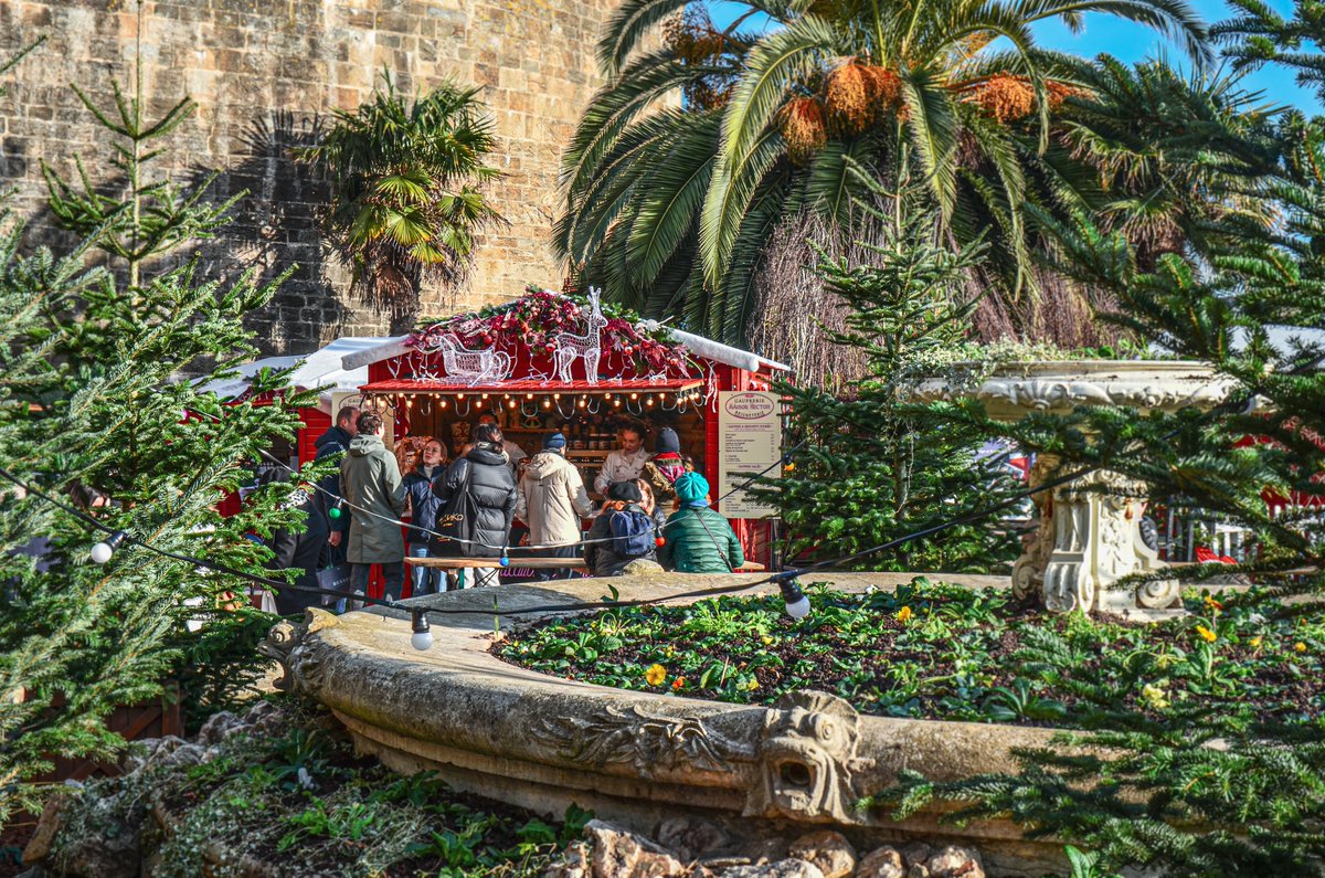 𝗡𝗢𝗘̈𝗟 𝗔̀ 𝗦𝗔𝗜𝗡𝗧-𝗠𝗔𝗟𝗢⭐️ Retour en images l'inauguration des festivités de Noël !✨ 🎄Programme spécial 'Noël à Saint-Malo' à retrouver ici : saint-malo.fr/accueil/noel-2… #saintmalo #noelasaintmalo #stmalo #noel