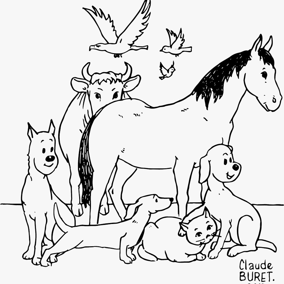 #NouvellePhotoDeProfil