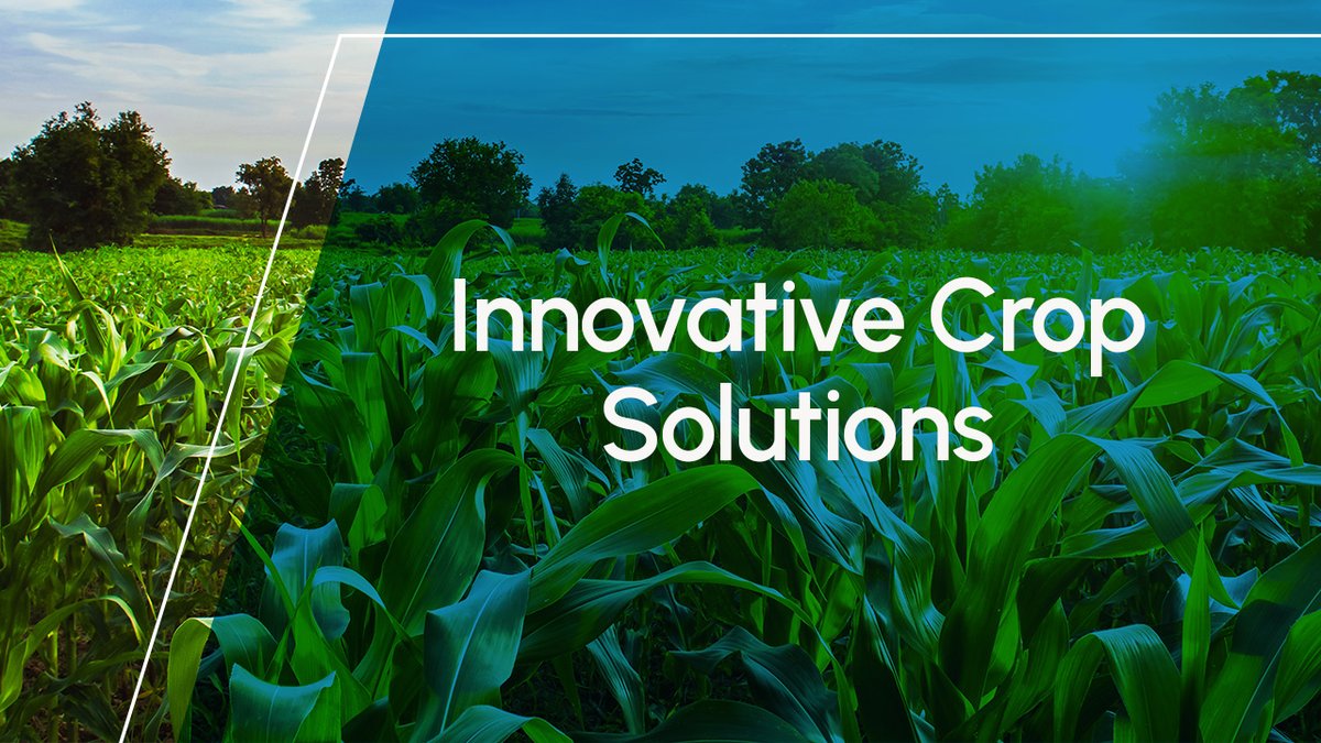 Elemental Enzymes tweet media