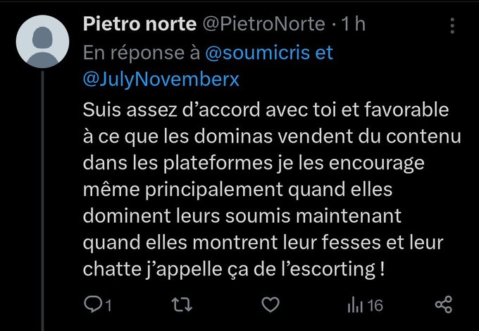Quand je vois &ccedil;a, je me dis que les dominas qui pr&eacute;tendent &eacute;duquer vos soumis au f&eacute;minisme c'est tellement