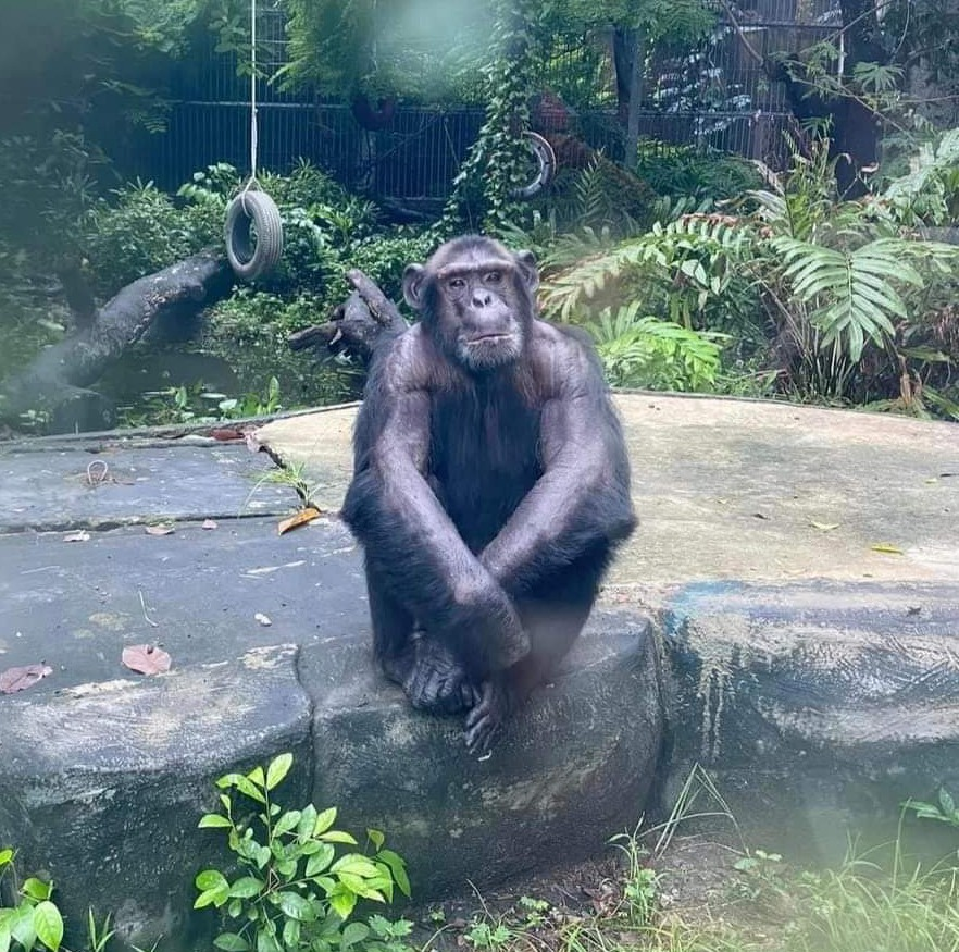 Chầm ngâm đợi ngày đợi chủ nhật này hehe