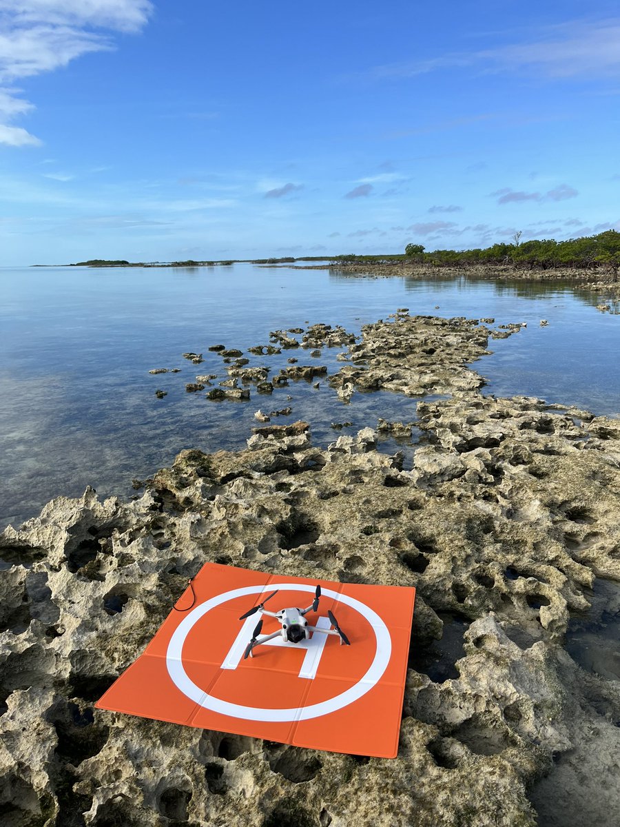 It’s a privilege to join @savingtheblue on their search for #sawfish in The Bahamas with #drones, #bruv and #sonar.