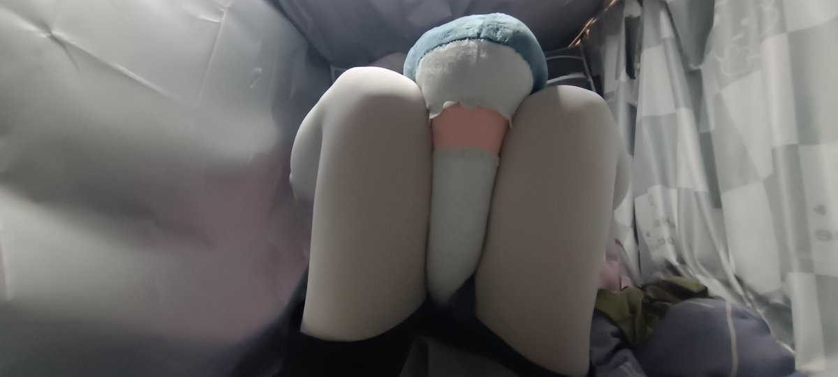 缅因Mainya喵 tweet media