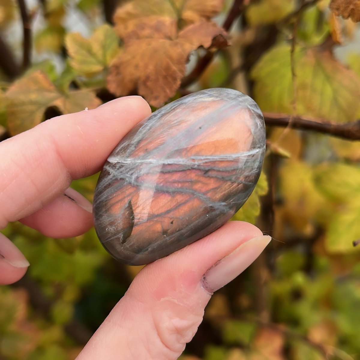 Manifesting greatness this Monday with the power of Labradorite 🍂🧡 Let your intentions sparkle and your energy shine bright 🧡

#CrystalManifestation #MondayMagic #CrystalJourney #PositiveIntentions #CrystalCollector #EnergyWork #labradorite #orangelabradorite #autumnvibes