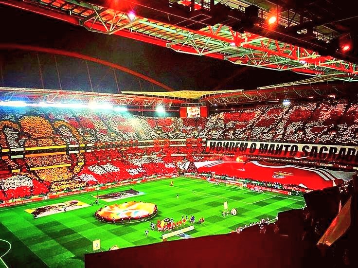 Benfica Pictures That Go Hard (@benfica_go) on Twitter photo 