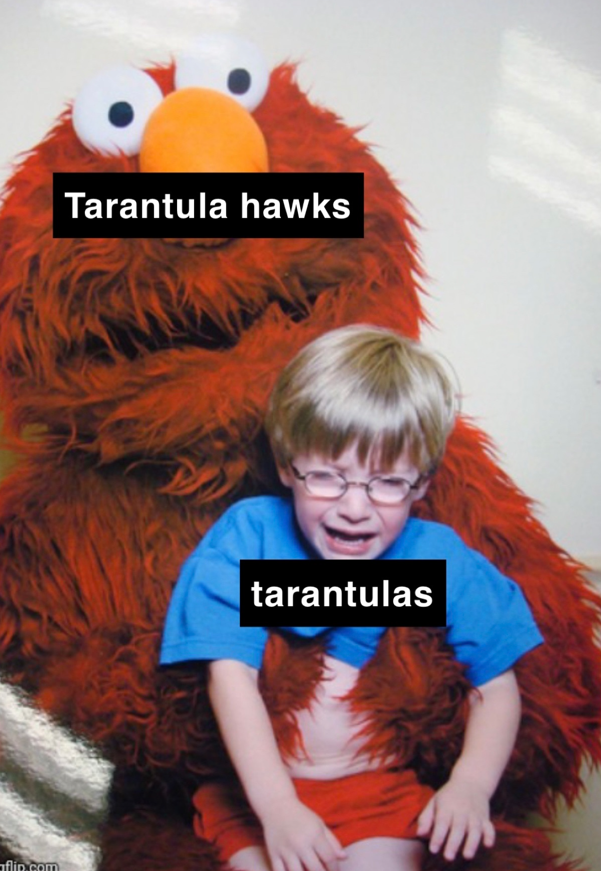 Brandon S tweet media