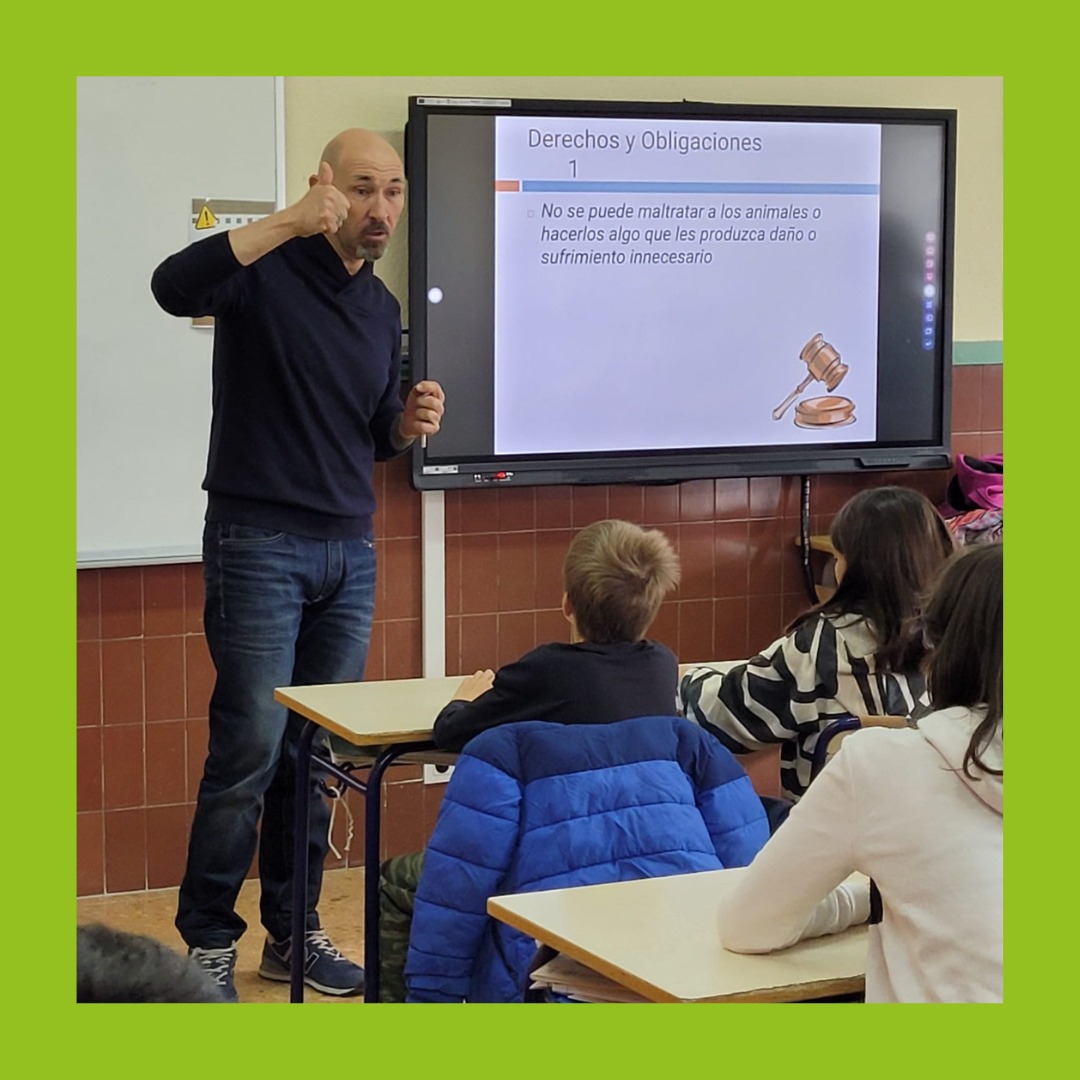 AFACervantes's tweet photo. L'associació🐶#PRODA🐱 (https://t.co/cFJibmgxk5) ha visitat l'alumnat de 5è del #CervantesAlboraia. Estaven molt il·lusionats perquè els agraden els animals. Ara ja saben que tenir-ne un és una responsabilitat i una alegria alhora.
#RespecteAnimal #Tenirunamascota #AdoptaAnimals https://t.co/fyDCbUf7s7