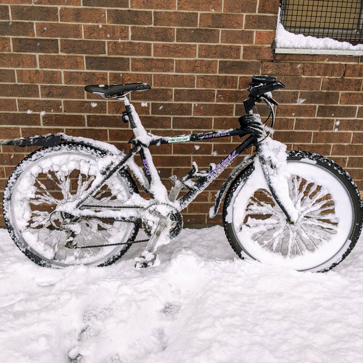 Pierre Renaud tweet media