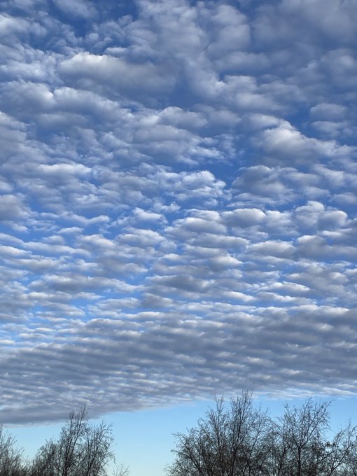 Altocumulus spotted over Inverness, Scotland, by @RichardSmyth6