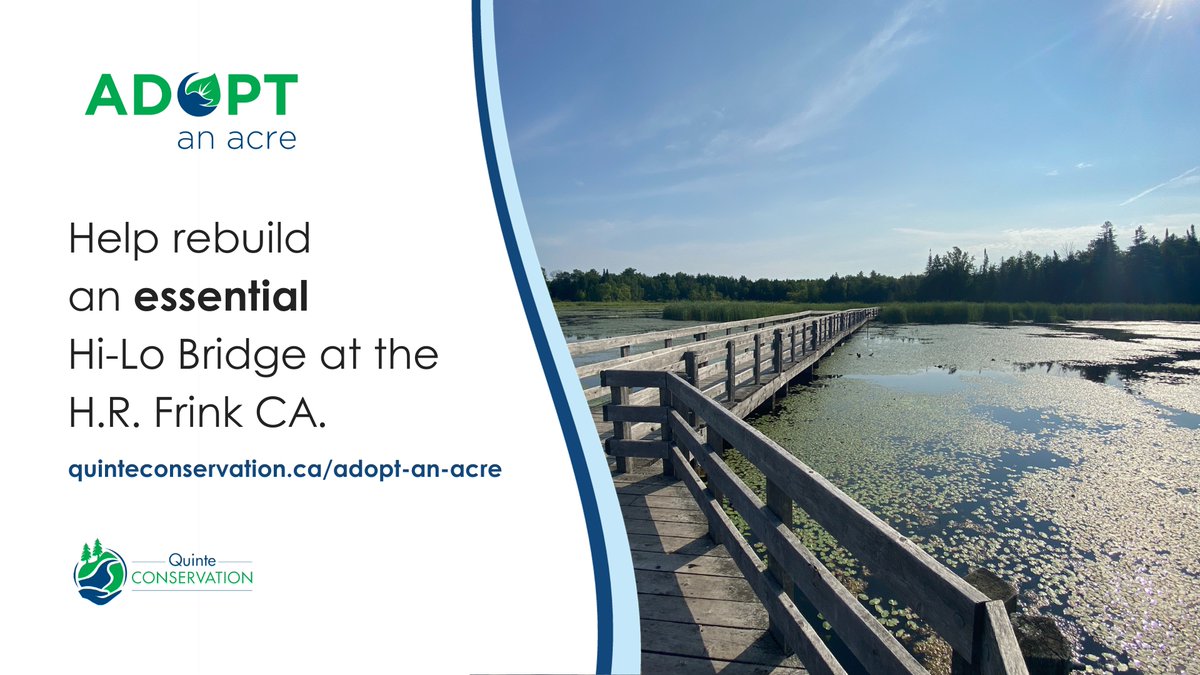 quinteca's tweet photo. For 25 years, the original Hi-Lo Bridge spanned the silver maple swamp, allowing visitors to travel through a wide range of habitats and ecosystems. In 2018, the bridge was closed. Help bring this bridge back. Visit https://t.co/xDYiqtFbXa
#QuinteConservation #AdoptAnAcre2023 https://t.co/g2nCDza6m1