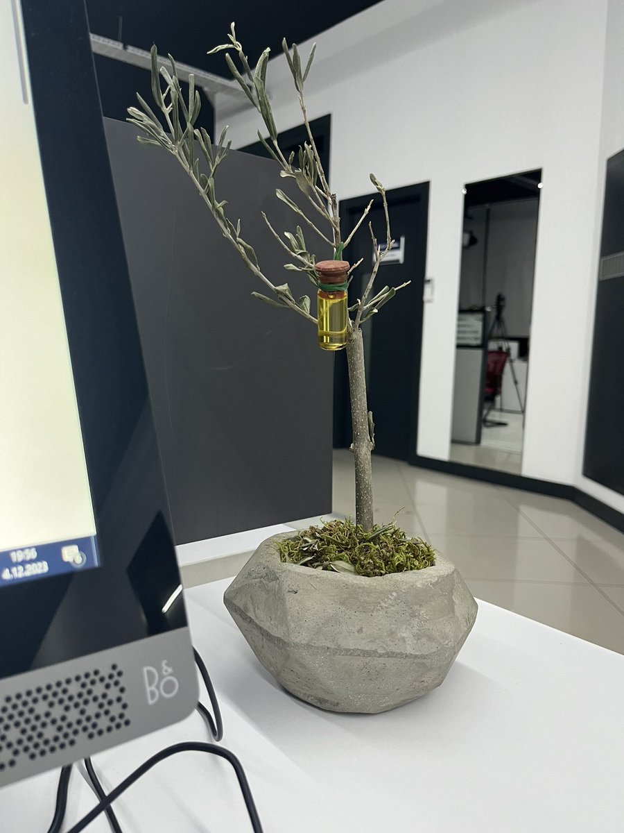 Hikayeler bitiyor, anılar bir zeytin dalında asılı kalıyor…