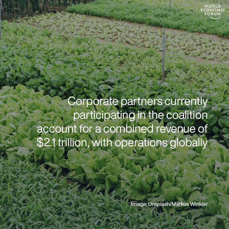 wef's tweet photo. The World Economic Forum, with support from the Government of the United Arab Emirates, along with more than 20 corporate and research partners in the food sector, has launched the First Movers Coalition for Food at @COP28_UAE. #COP28
