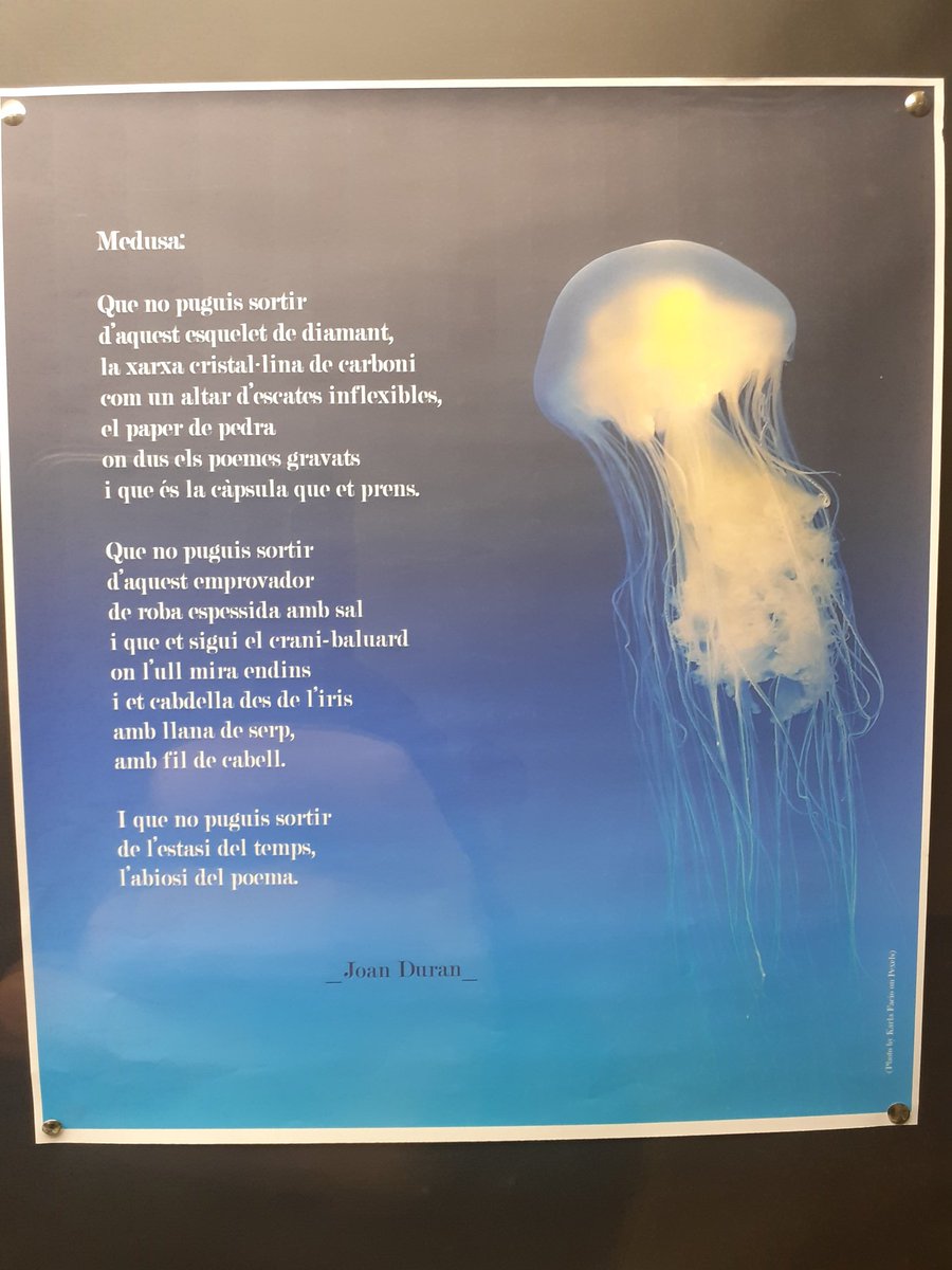Quin plaer llegir el poema Medusa  del @joanduranf a la vitrina de a biblioteca de ciències de la UAB @Bctuab