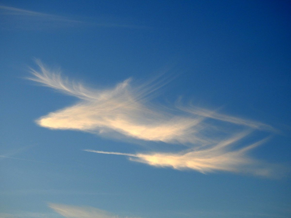 Cirrus spotted over Surrey Hills, Surrey, UK, by @mildthing99