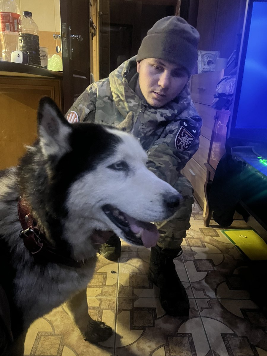 649 день війни.Хлопці сьогодні врятували з #klishchiyivka собаку породи #alaskanmalamute покупали,нагодували дали імя Бахмут всі щасливі,завтра повезуть до ветеринара дуже боїться гучних звуків.
А я от думаю може купляти сани 🛷 ?