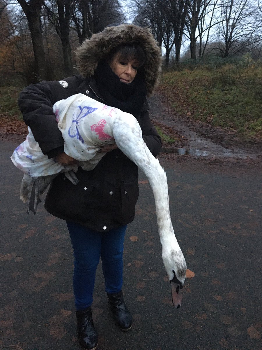 Larry Neild tweet media