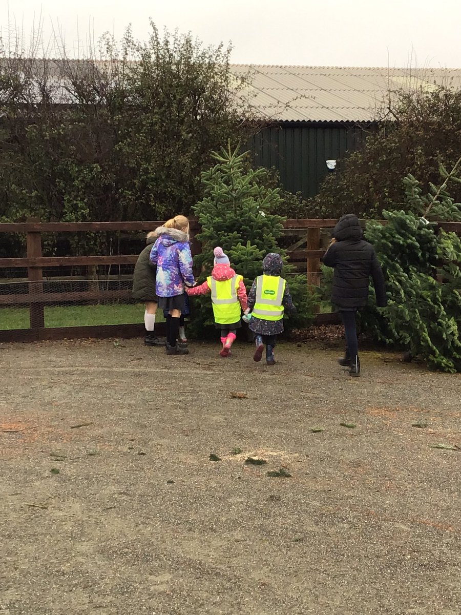 GoodrichCESch's tweet photo. A fantastic morning completing our ‘secret mission’ with our Y6 buddies. Eli the elf wrote a letter asking us to choose a Christmas tree for school! We were all very excited and chose the BIGGEST tree 🎄 #GSwrens #GSeyfs #GSperegrines A big thank you to Hereford Christmas Trees. https://t.co/xSuBpV0Jri