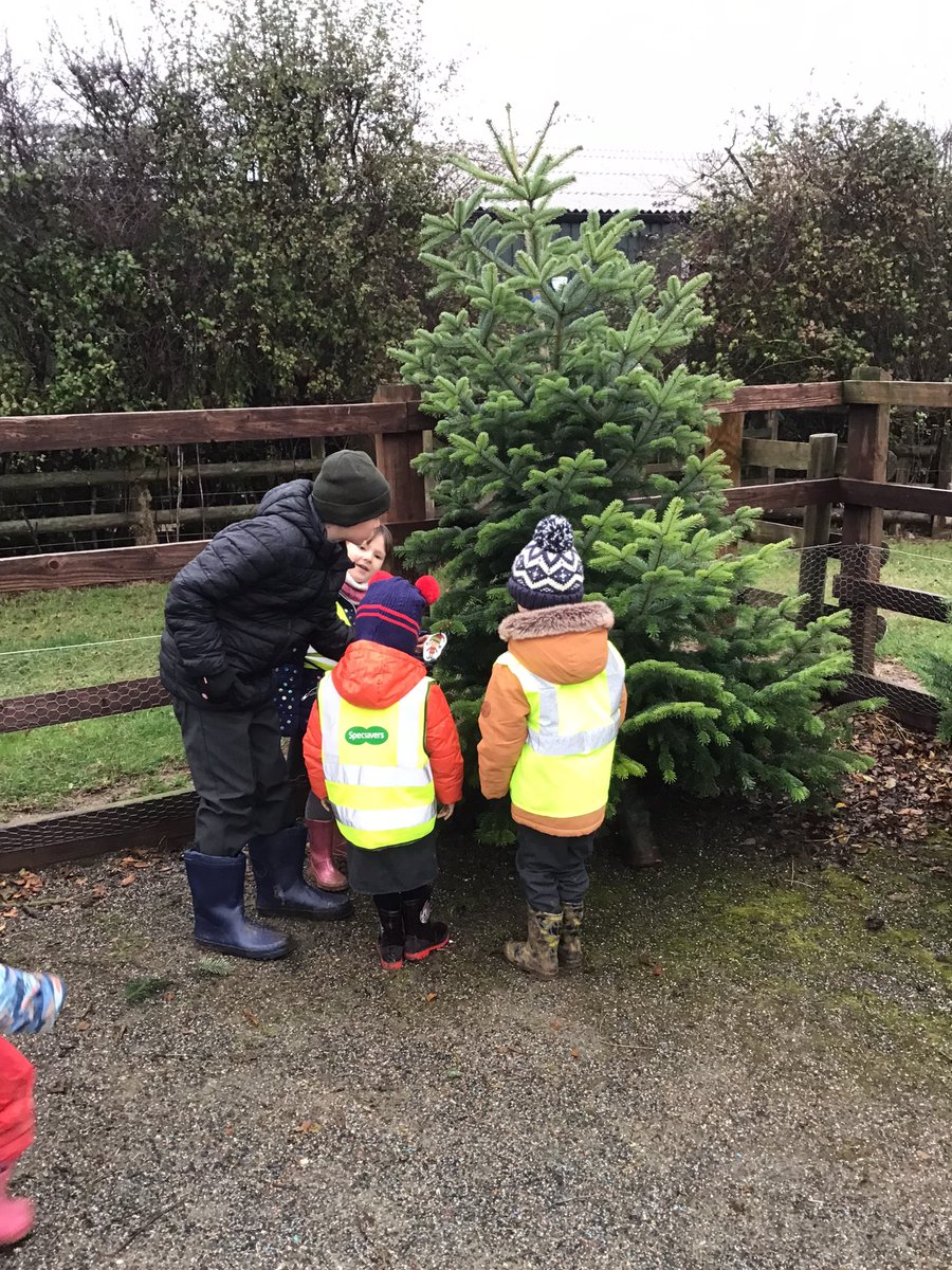 GoodrichCESch's tweet photo. A fantastic morning completing our ‘secret mission’ with our Y6 buddies. Eli the elf wrote a letter asking us to choose a Christmas tree for school! We were all very excited and chose the BIGGEST tree 🎄 #GSwrens #GSeyfs #GSperegrines A big thank you to Hereford Christmas Trees. https://t.co/xSuBpV0Jri