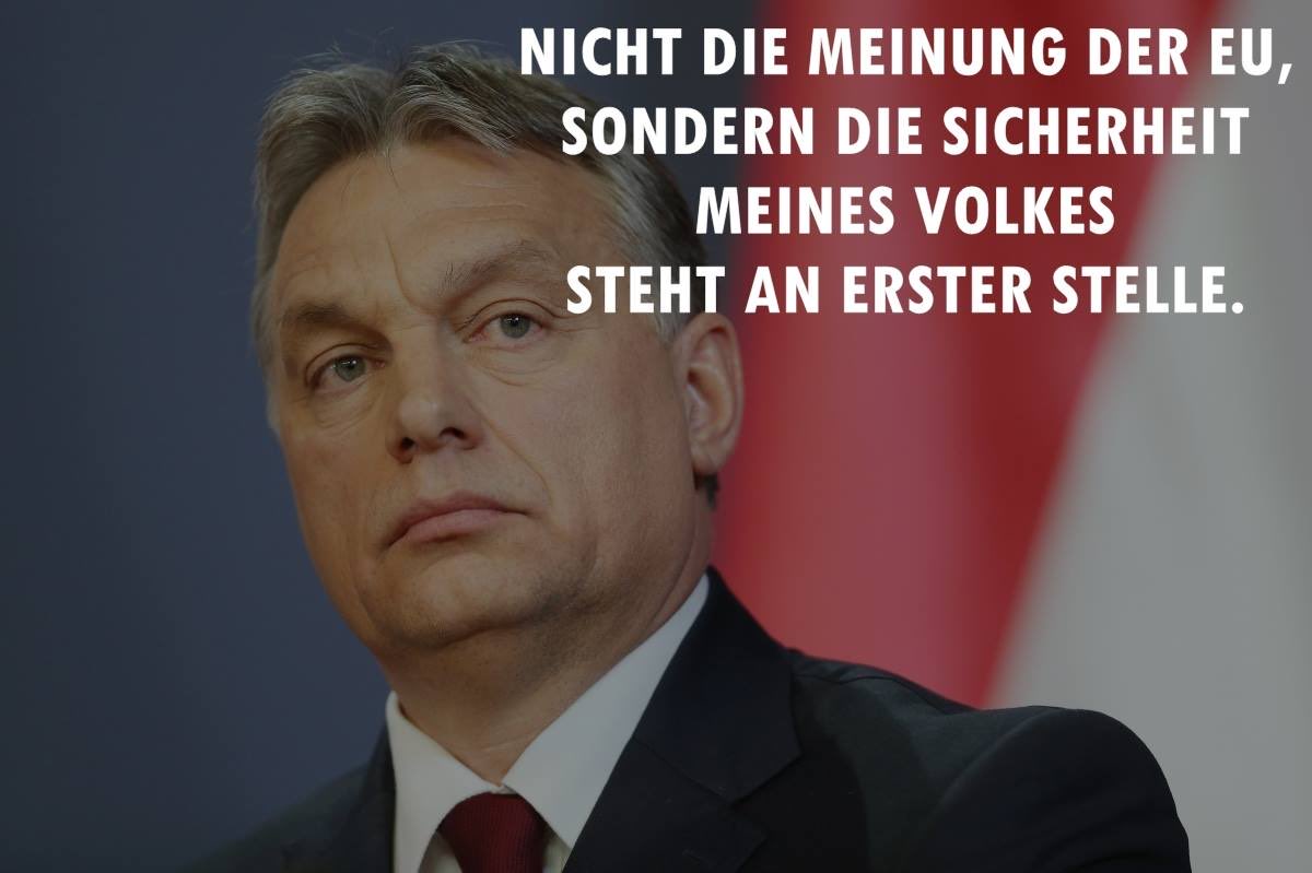 Bester Mann 👇 🇭🇺 👇‼️‼️‼️‼️