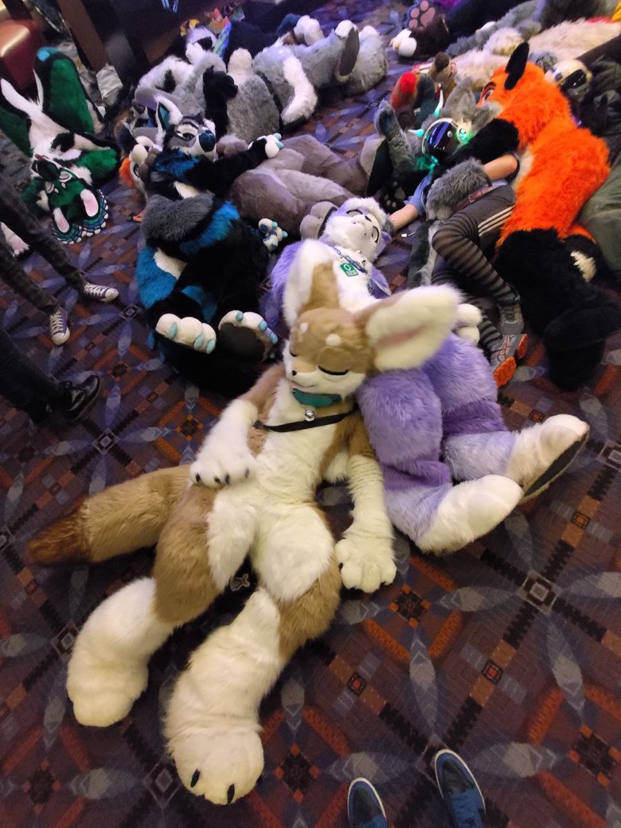 MFF is over, now it's eeping time #furfest