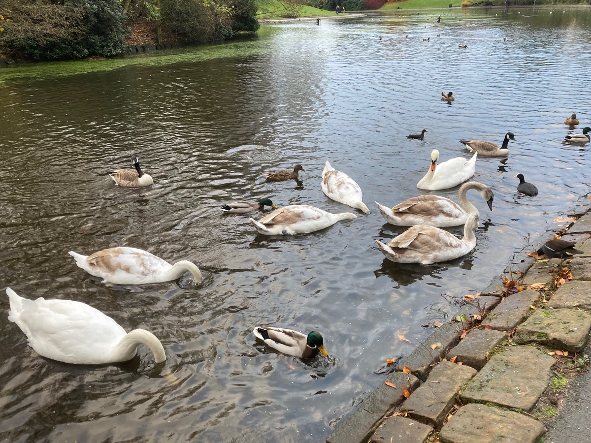 Larry Neild tweet media