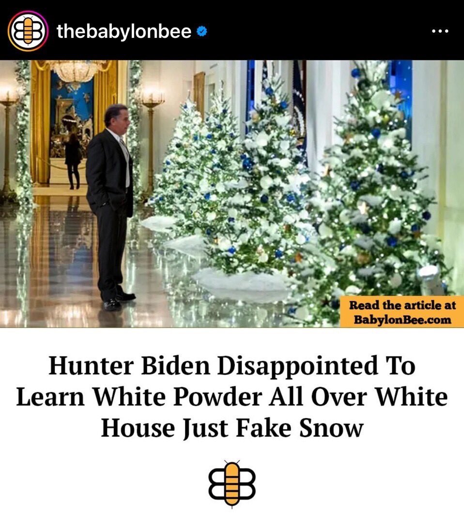 🌲🌲
