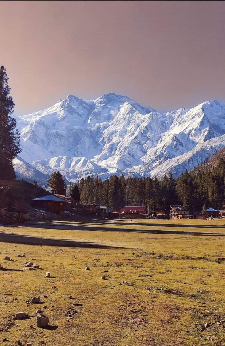 LandofPakistan's tweet photo. Fairy Meadows &amp; Nanga Parbat ❤ https://t.co/IXeTwfbRD8