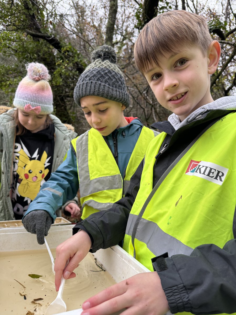 Romsey Primary tweet media