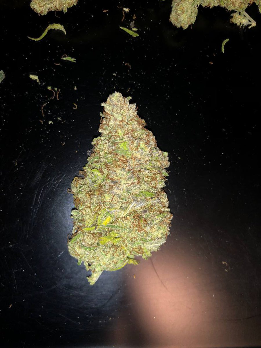 Satsuma_sokai's tweet image. 原価も高けりゃキラっきらも違う💐🤤

#鹿児島手押し

年末は何ほしい？？🧐