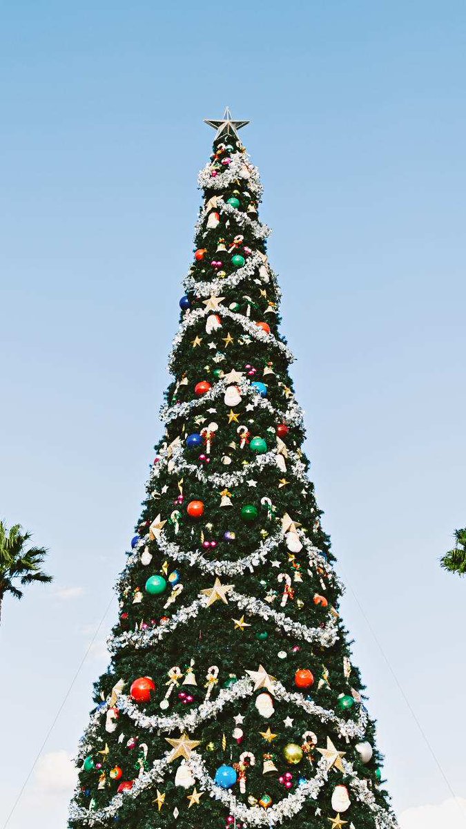 Cabrillo High PTSA tweet media