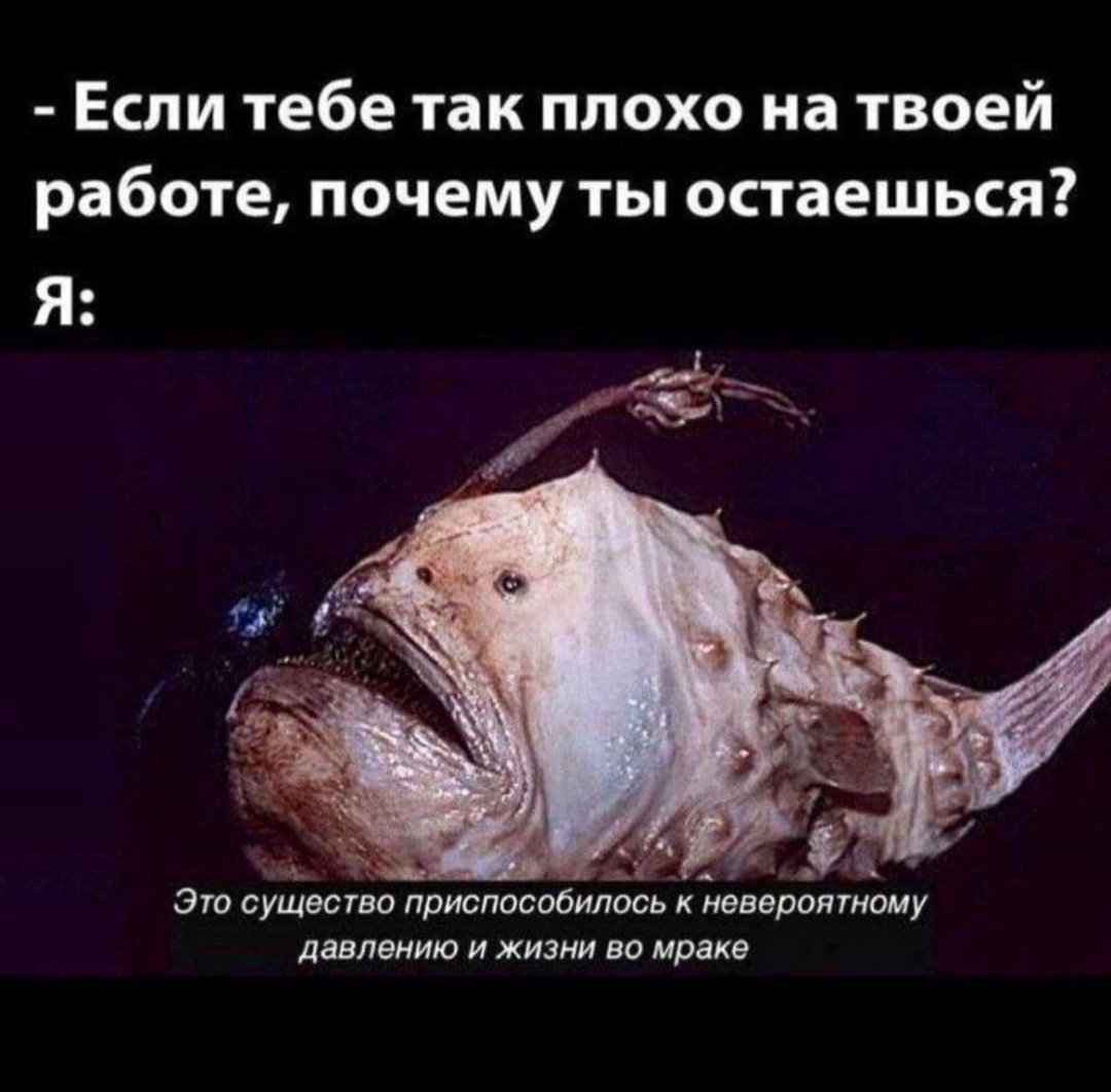 Stakanowec's tweet photo. https://t.co/bdDyPylM6Z