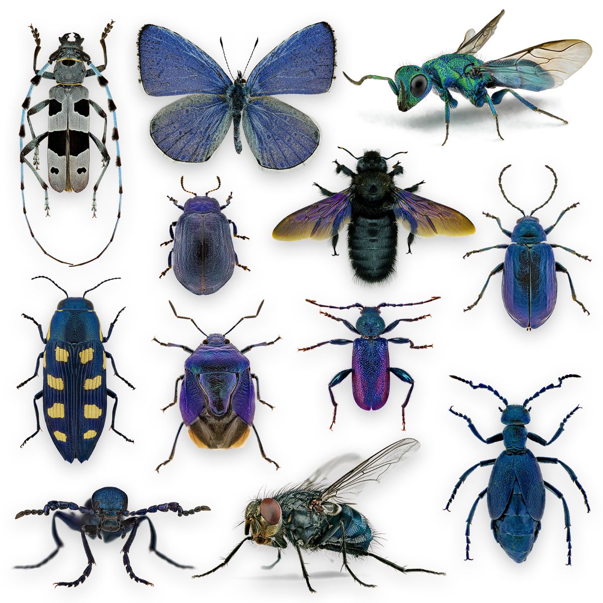 Thorben Danke tweet media