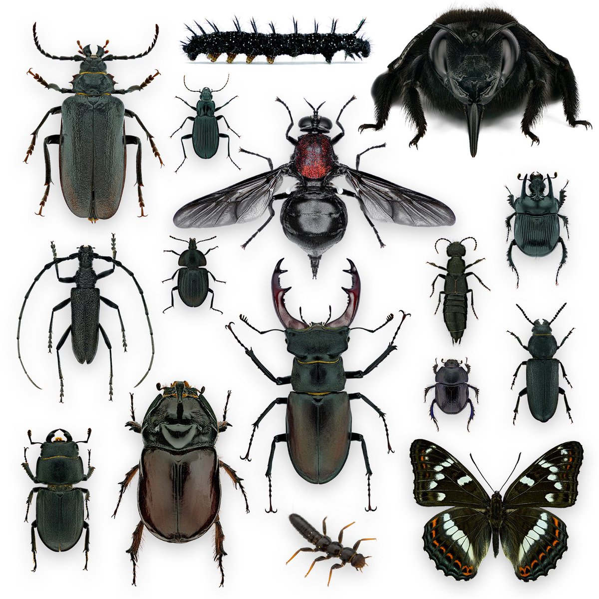 Thorben Danke tweet media