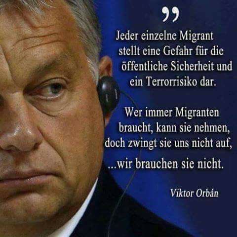 👇👇👇👇🇭🇺🇭🇺🇭🇺🇭🇺👇👇👇👇