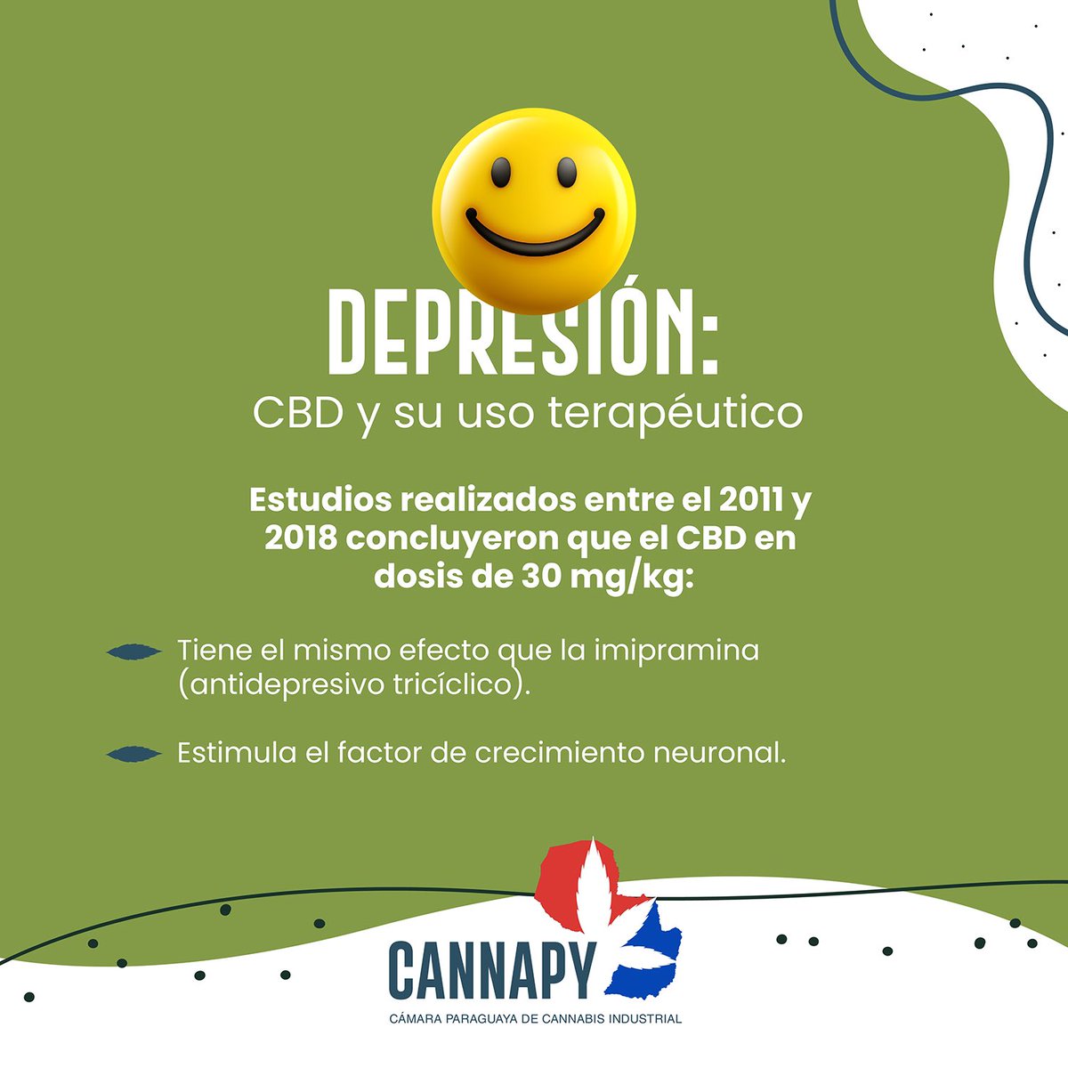 Cannapy_'s tweet photo. Durante estudios realizados sobre el CBD y su uso terapéutico para tratar síntomas de la depresión, los usuarios habituales de cannabis medicinal reportaron una disminución en el ánimo deprimido, un aumento del afecto positivo y menos quejas somáticas.
#CannaPy https://t.co/mRFMxzokw1
