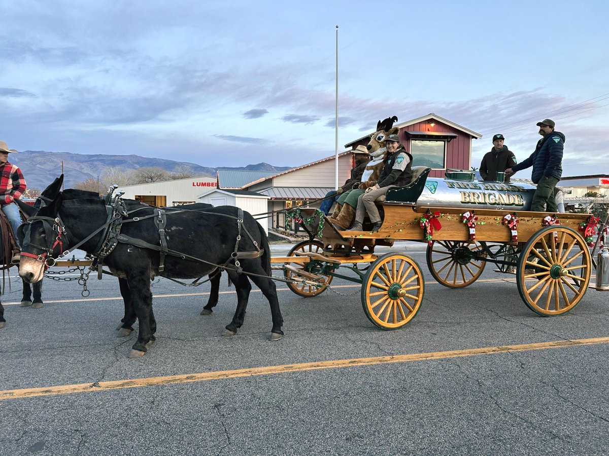 🦌BLM's Seymour Antelope and colleagues joined the festivities for the 56th Bishop Chamber of Commerce holiday parade! Big THANK YOU to the Rock Creek Pack Station for providing the mules to pull the wagon - it was the first time Seymour tagged along!