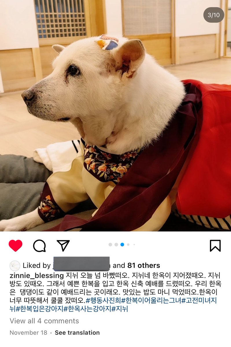 Joorassic_Park's tweet photo. 진희 임보 갔다는 소식은 들었는데 어디서 봐야 할지 모르다가 방금 인스타에서 진희 계정을 찾았다!! 😭 임보가 아니라 평생 가족 만나 사랑 받으며 이렇게 예쁘게 웃으며 지내고 있었구나. 저처럼 궁금했던 분들께 진희 소식과 계정 알려요. 처음부터 오늘 포스팅까지 보면서 저 정말 행복했어요 🥹 https://t.co/DRwF6w97kv