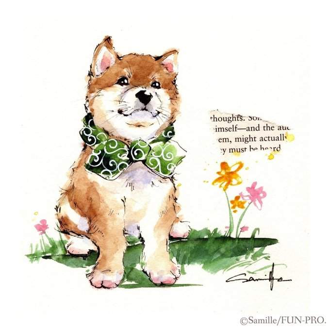 「no humans shiba inu」 illustration images(Latest)｜5pages