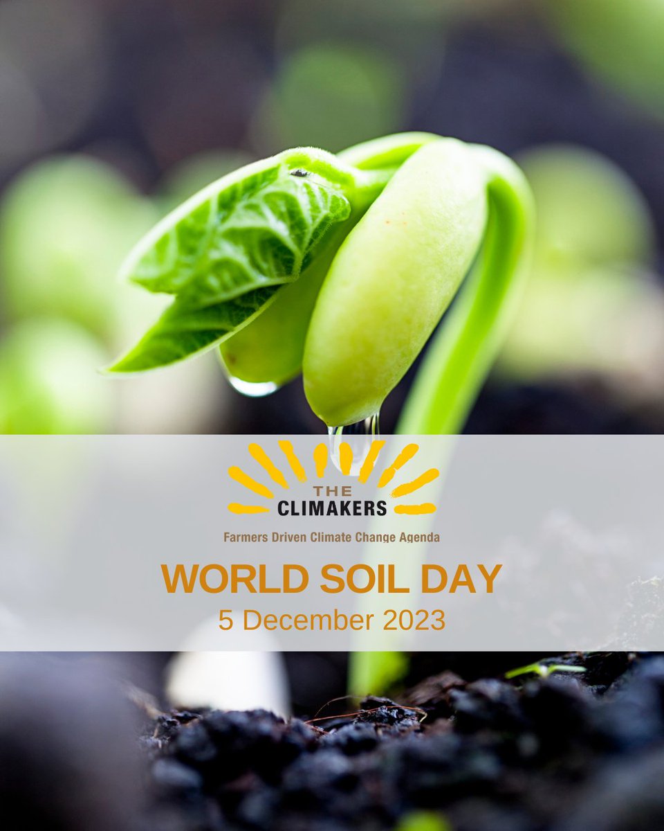 The Climakers tweet media