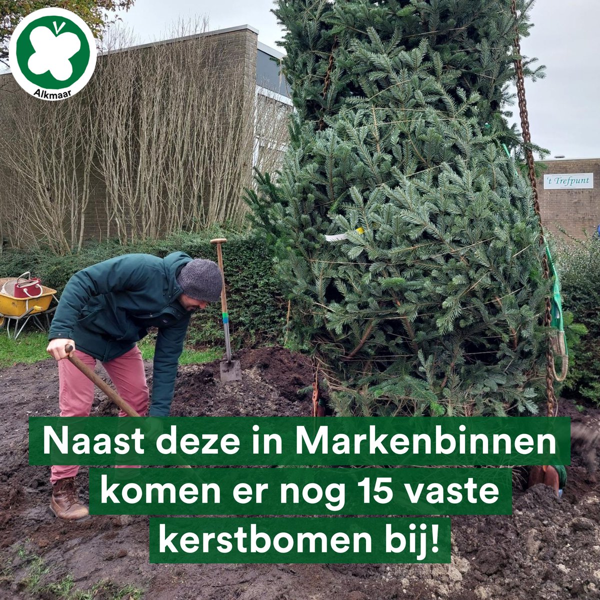 PvdDAlkmaar's tweet image. Ja! Vandaag was het zover... de eerste #Permanente #Kerstboom van #Alkmaar is geplant in #Markenbinnen! 🎄En er volgen nog 15 vaste kerstbomen. 🤩🥳 Een #Kerst zonder #wegwerpkerstboom, wie wil dat nou niet?
#kappenmetkappen #keerhettij @partijvddieren