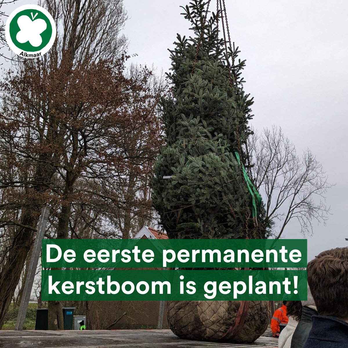 PvdDAlkmaar's tweet image. Ja! Vandaag was het zover... de eerste #Permanente #Kerstboom van #Alkmaar is geplant in #Markenbinnen! 🎄En er volgen nog 15 vaste kerstbomen. 🤩🥳 Een #Kerst zonder #wegwerpkerstboom, wie wil dat nou niet?
#kappenmetkappen #keerhettij @partijvddieren