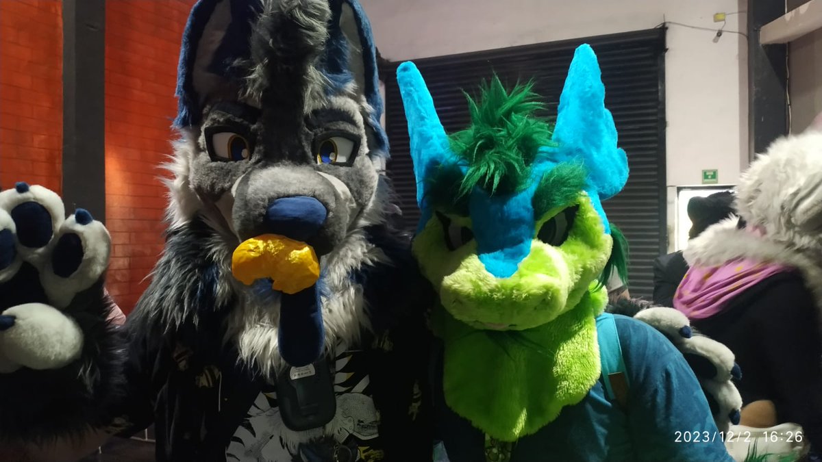 Yoshpper's tweet image. Unas cuantas fotos del #FurcanDeViaje 🐊💚