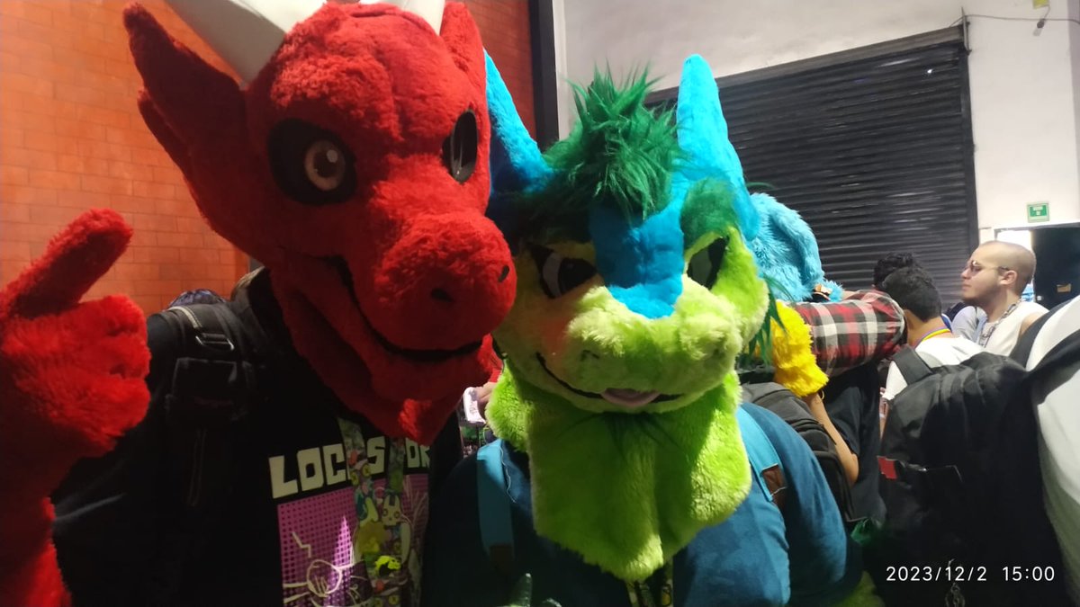 Yoshpper's tweet image. Unas cuantas fotos del #FurcanDeViaje 🐊💚