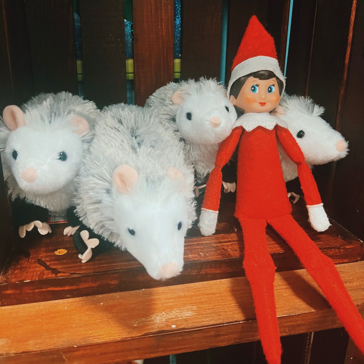 ECScienceCenter's tweet image. Rosie the Elf is back at the science center! One of her first stops was to visit the gift shop and see all the new items we have ready for holiday shopping. ❤️  Follow along on Rosie's adventures at the science center on our Instagram at buff.ly/3GgTeQV